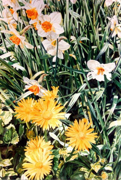 Ref.G17: Spring garden.